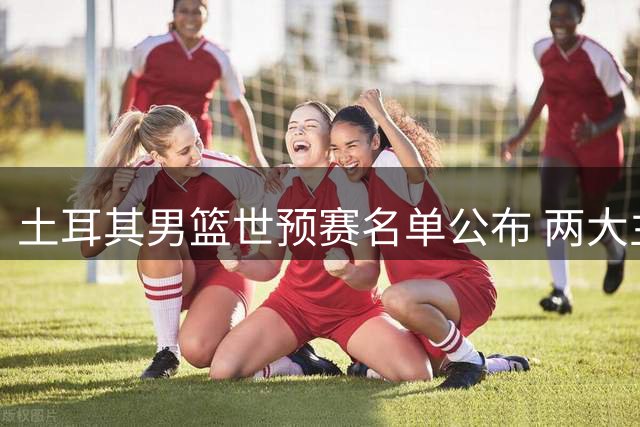土耳其男篮世预赛名单公布 两大主力申京比贝罗维奇缺阵
