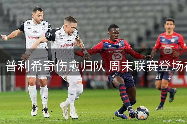 普利希奇伤愈归队 周末联赛登场存疑